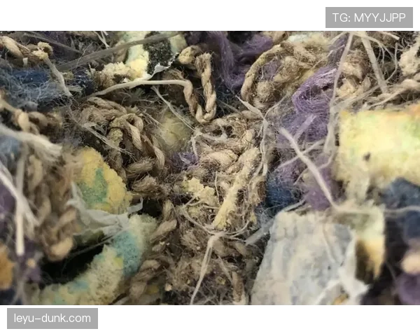 篮球中线规则解析:回场违例的具体判定标准说明 篮球中线规则解析:回场违例的具体判定标准说明