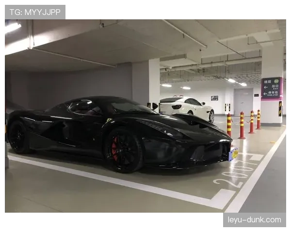 看到拉菲尼亚车库那排跑车，我的银行卡默默申请了辞职